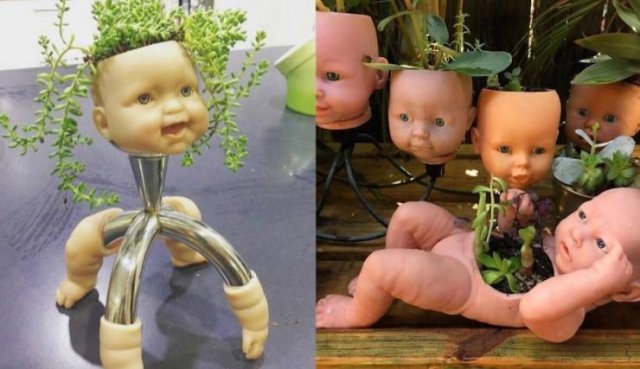 What Is Going On Here? (54 pics)