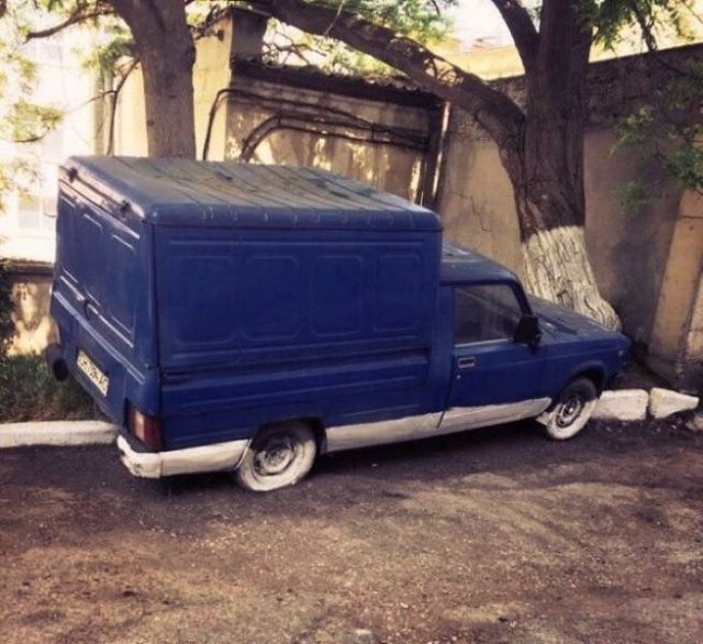 What Is Going On Here? (54 pics)