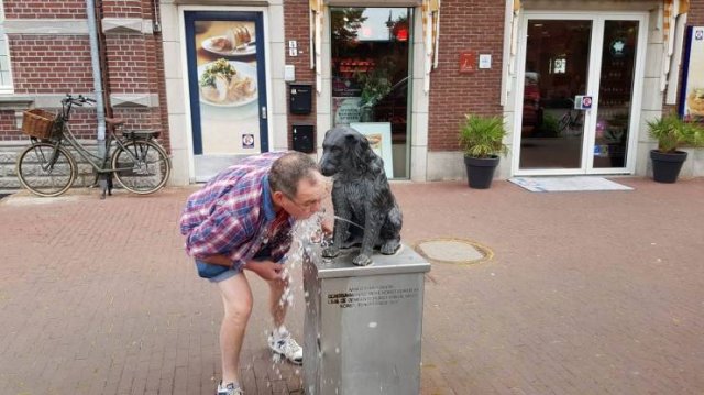 What Is Going On Here? (54 pics)