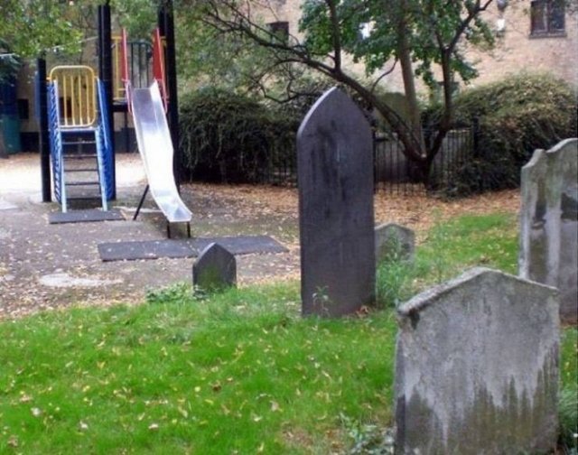 What Is Going On Here? (54 pics)