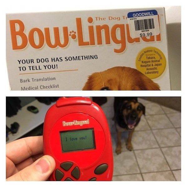 Unusual Finds In Thrift Shops (52 pics)