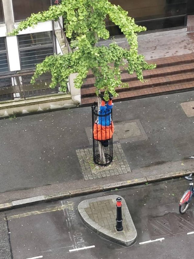 What Is Going On Here? (54 pics)