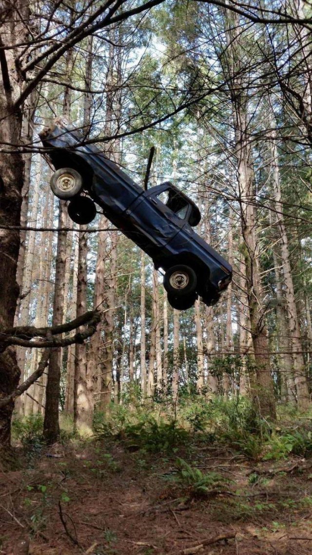 What Is Going On Here? (54 pics)