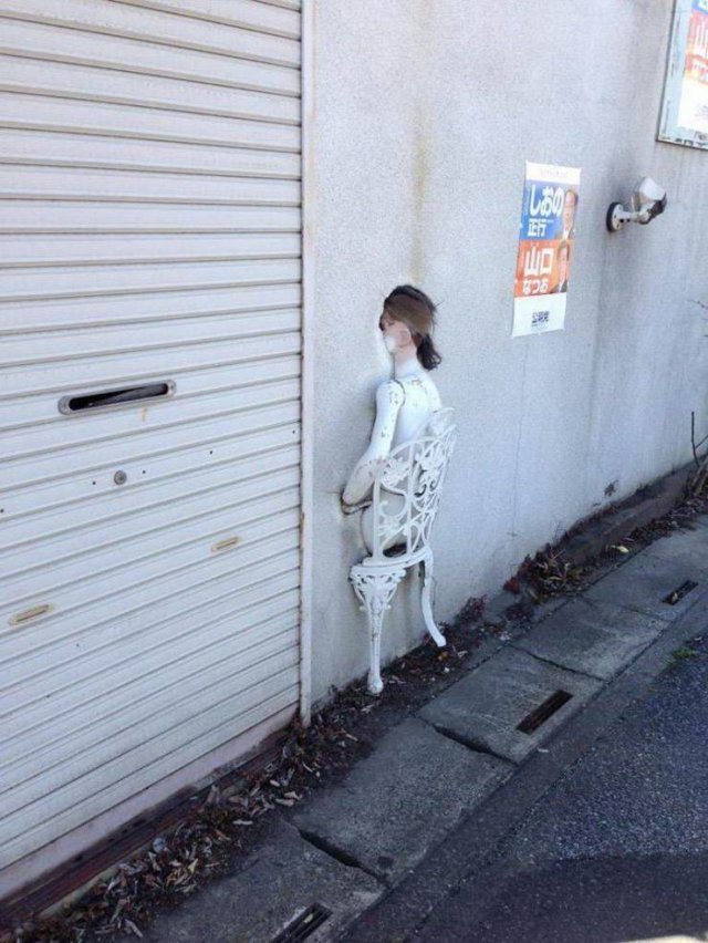 What Is Going On Here? (54 pics)
