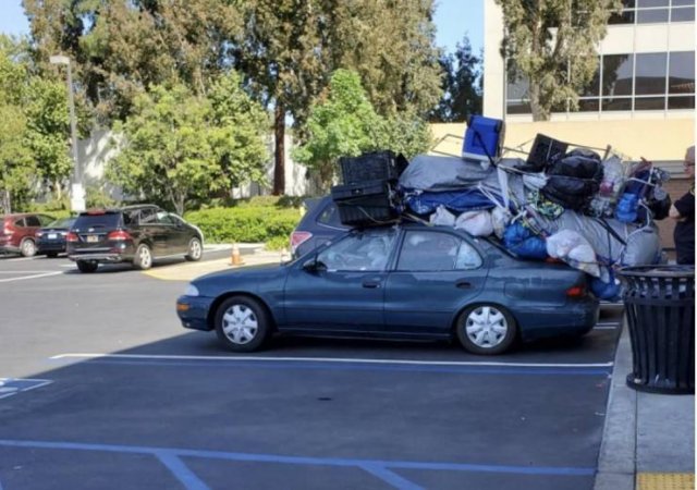 What Is Going On Here? (54 pics)