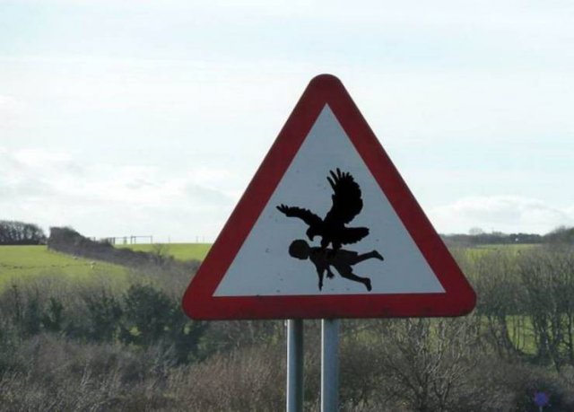 What Is Going On Here? (54 pics)