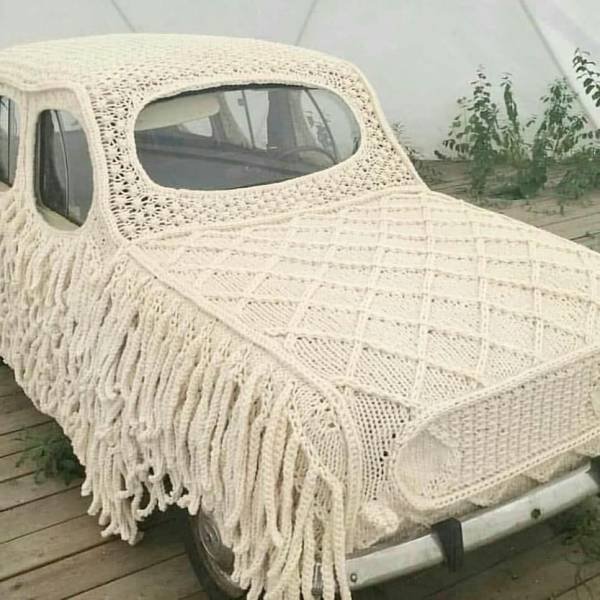 What Is Going On Here? (54 pics)