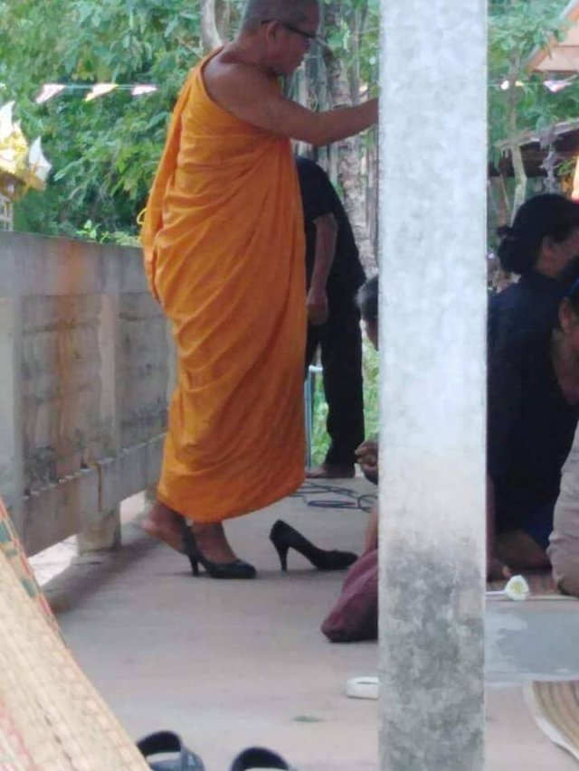 What Is Going On Here? (54 pics)