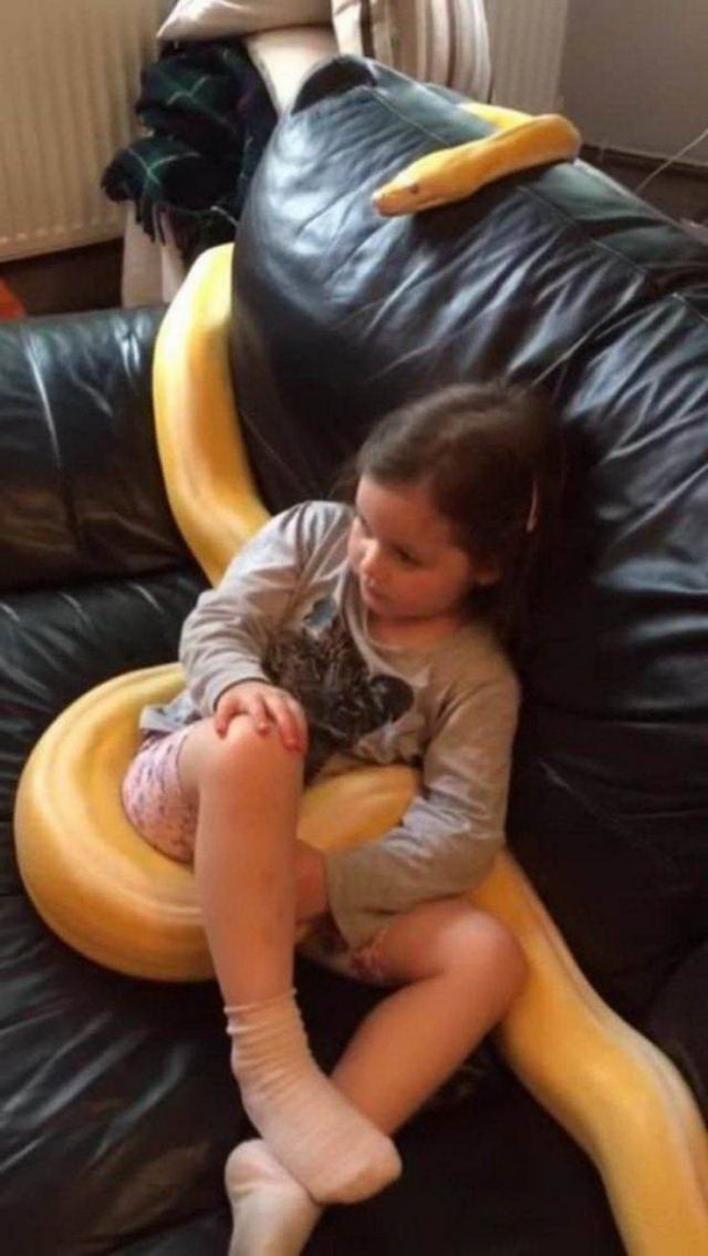 What Is Going On Here? (54 pics)
