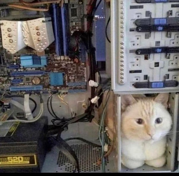 What Is Going On Here? (25 pics)