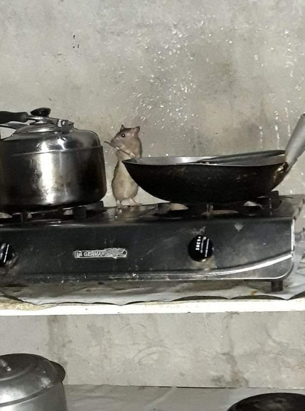 What Is Going On Here? (25 pics)