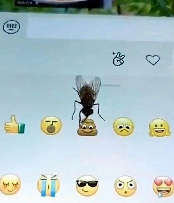 What Is Going On Here? (25 pics)