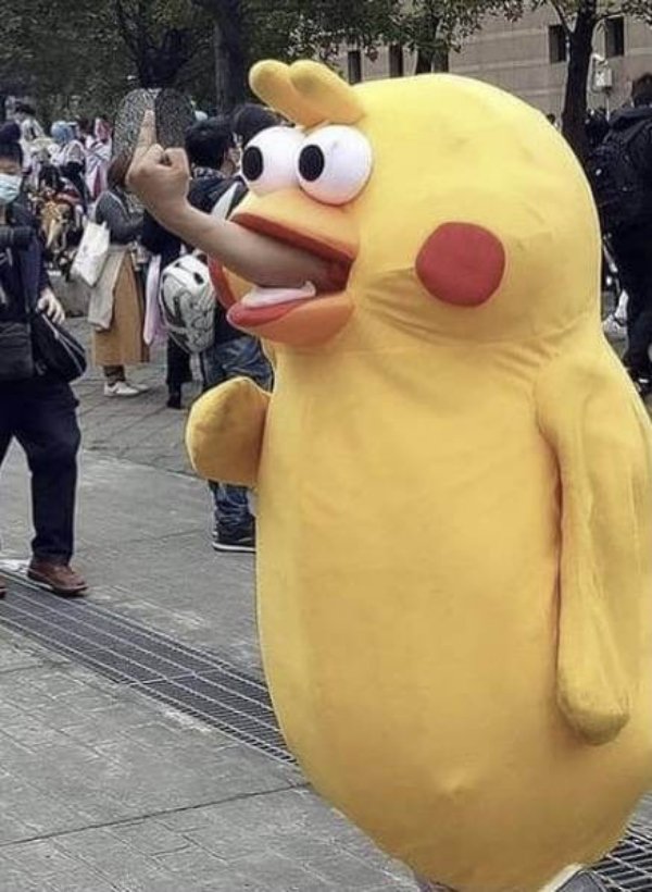 What Is Going On Here? (25 pics)