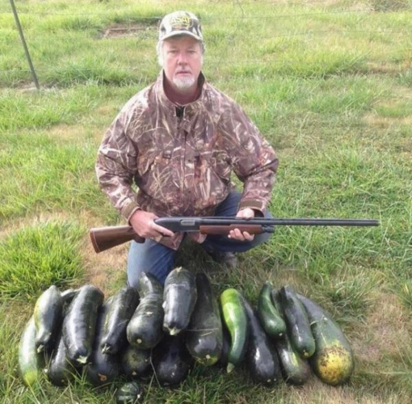 What Is Going On Here? (25 pics)