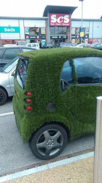 Odd Situations (46 pics)
