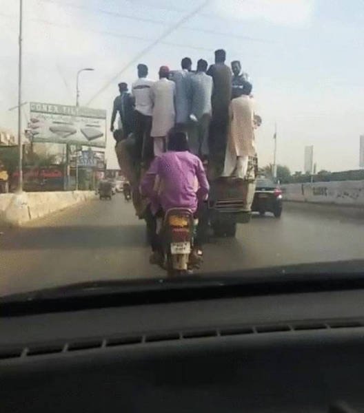 Odd Situations (46 pics)