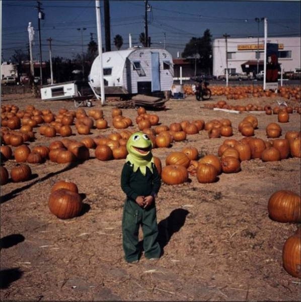 Weird Finds And Situations (52 pics)