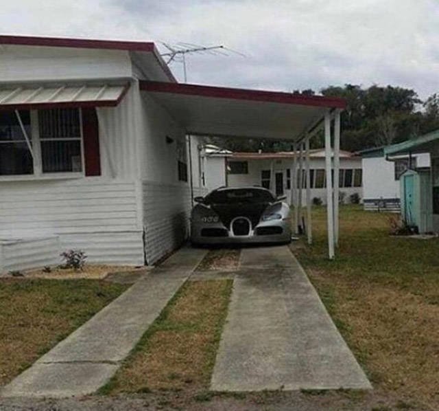 Weird Finds And Situations (52 pics)