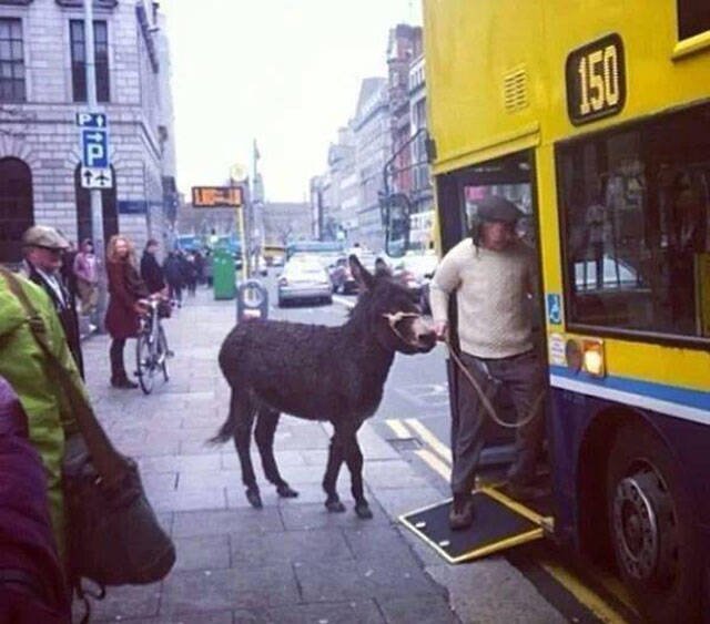 Odd Situations (46 pics)
