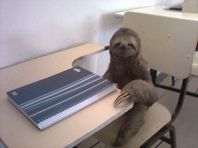 Odd Situations (46 pics)