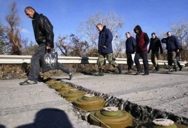 Weird Finds And Situations (52 pics)
