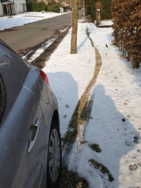 Weird Finds And Situations (52 pics)