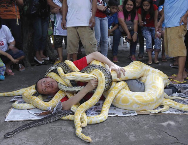 Odd Situations (46 pics)