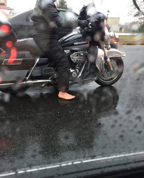 Odd Situations (46 pics)
