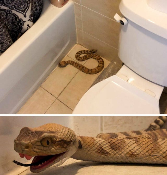 Bad Days Happen (20 pics)