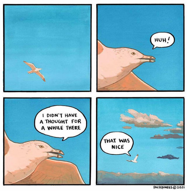 Truthful Memes (24 pics)