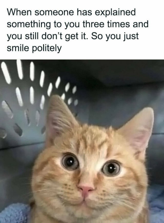 Funny Memes (24 pics)