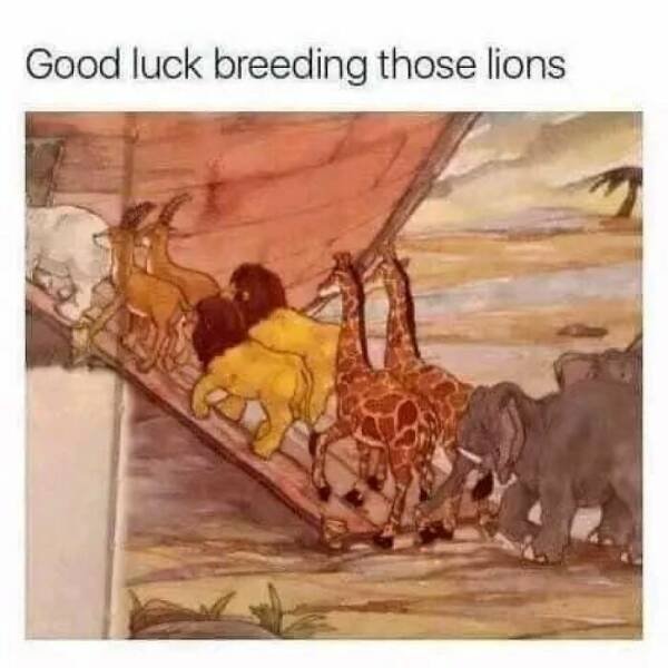 Funny Memes (24 pics)