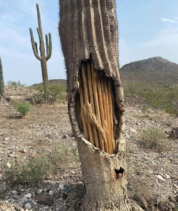 What’s Inside Random Objects? (28 pics) What’s Inside Random Objects? (28 pics)