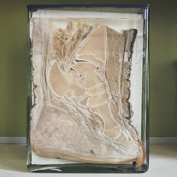 What’s Inside Random Objects? (28 pics) What’s Inside Random Objects? (28 pics)