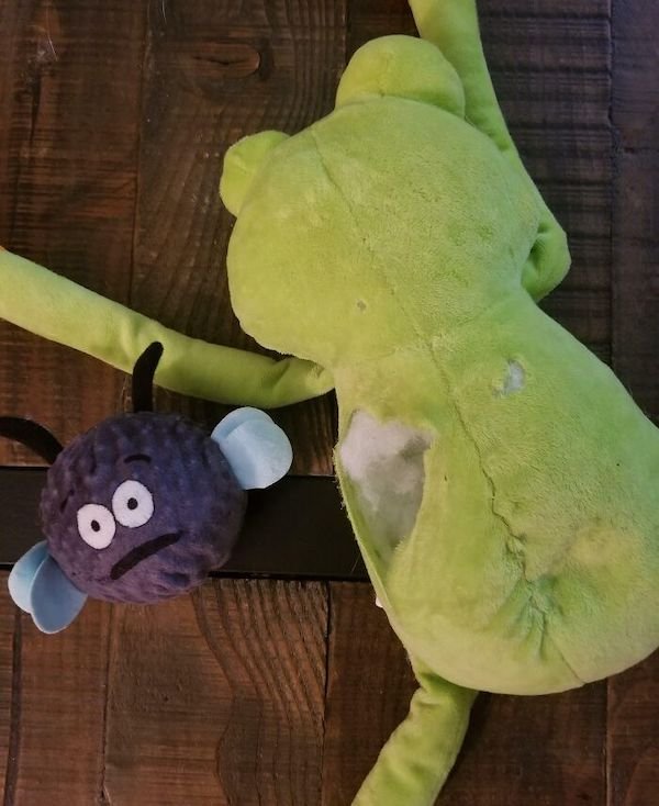 What’s Inside Random Objects? (28 pics) What’s Inside Random Objects? (28 pics)