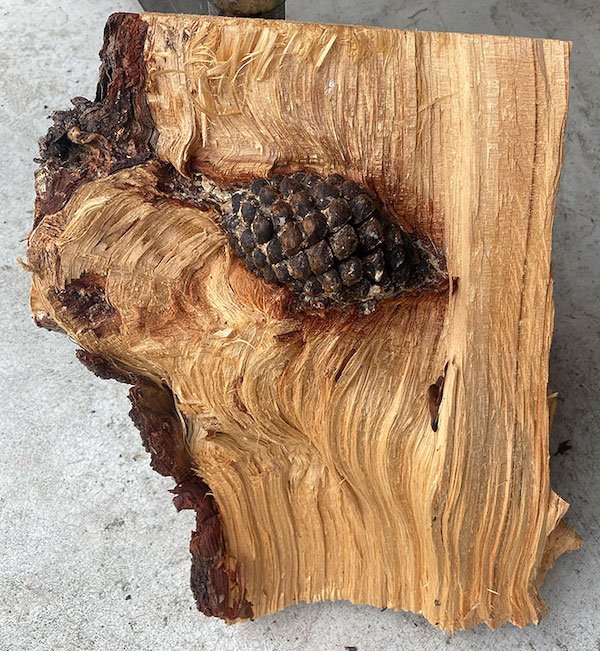 What’s Inside Random Objects? (28 pics) What’s Inside Random Objects? (28 pics)