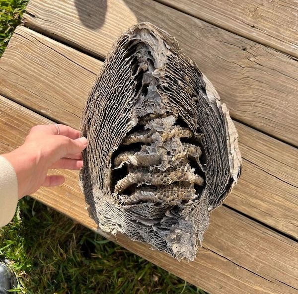 What’s Inside Random Objects? (28 pics) What’s Inside Random Objects? (28 pics)