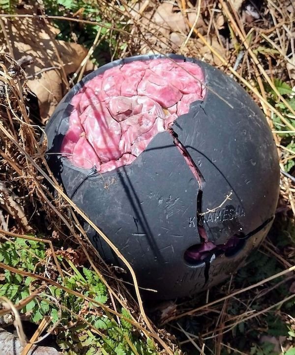 What’s Inside Random Objects? (28 pics) What’s Inside Random Objects? (28 pics)
