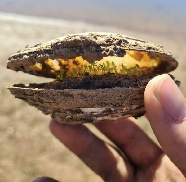 What’s Inside Random Objects? (28 pics) What’s Inside Random Objects? (28 pics)