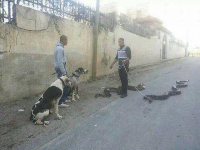 Scary Photos And Finds (39 pics)