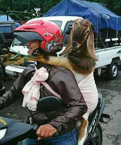 Scary Photos And Finds (39 pics)