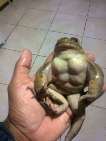 Scary Photos And Finds (39 pics)