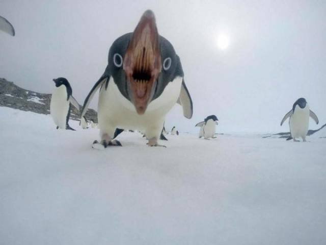 Scary Photos And Finds (39 pics)
