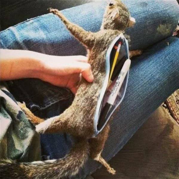 Scary Photos And Finds (39 pics)