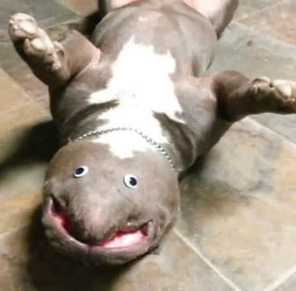 Scary Photos And Finds (39 pics)