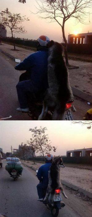 Crazy Asians (62 pics)