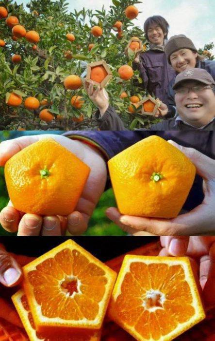 Crazy Asians (62 pics)