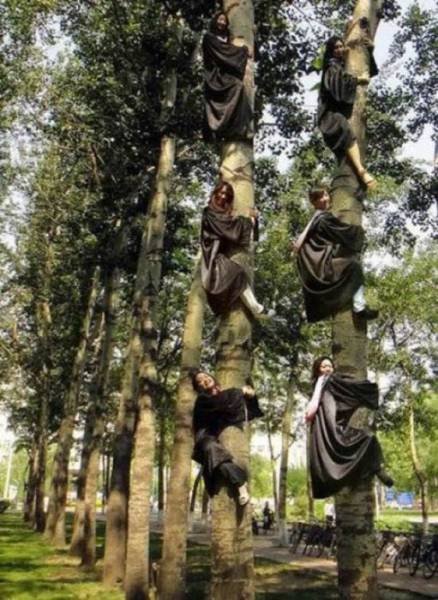 Crazy Asians (62 pics)