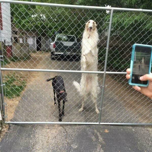 Scary Photos And Finds (39 pics)