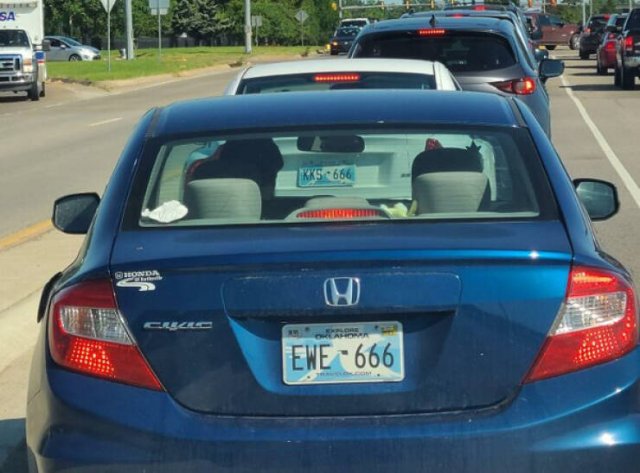 Funny Car Numbers (15 pics)